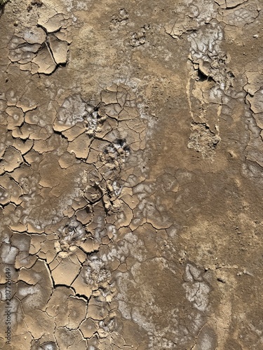 Cracked dry soil surface with intricate patterns and textures visible