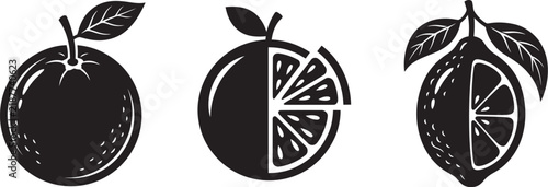 Hand drawn citrus fruits apple orange lemon silhouette
