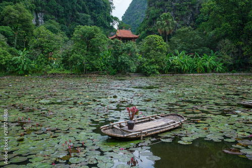 Bamboo Raft Among Water Lilies in a Lush Vietnamese Landscape