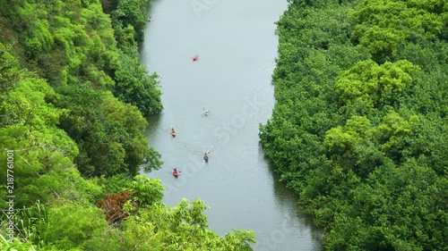 Wide shot of people Kayaking on the Wailua river in Kauai