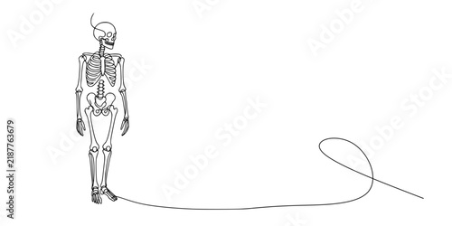 Continuous Line Skull,	A minimalist skull illustration drawn with a single continuous line, showing eye sockets, nasal cavity, and teeth in a fluid outline