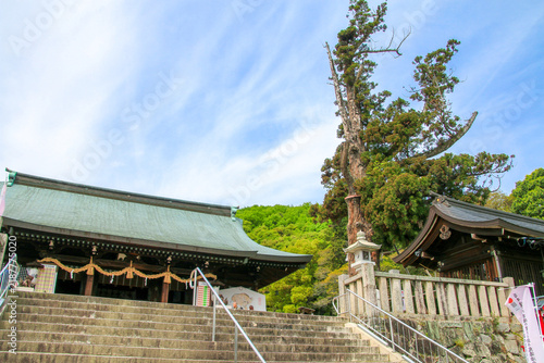 Cuadro en lienzo 吉備津彦神社