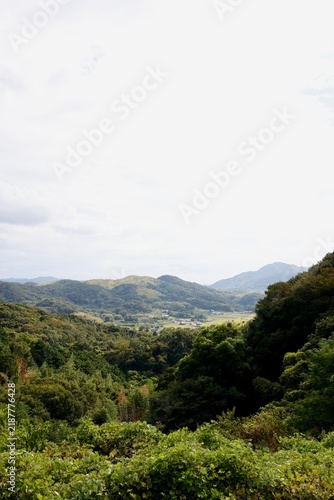 Plakat 日本の田舎風景。緑の山間に点在する家々と薄曇りの空