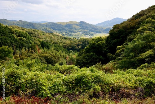 Plakat 日本の田舎風景。緑の山間に点在する家々と薄曇りの空