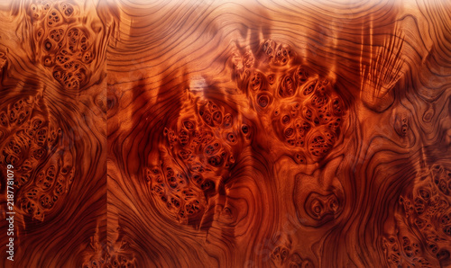 Polished mahogany burl wood texture with intricate swirling eye grain and rich reddish-amber tones, ideal for luxury 3D automotive interior mapping, bespoke cabinetry mockups, and high-end background 