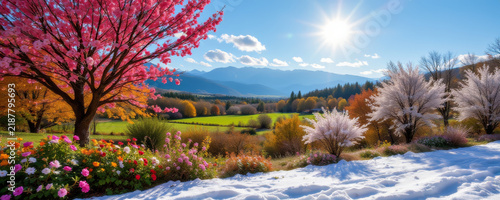 Spring blossom tree with colorful flowers in sunny mountain valley under bright blue sky with sun rays