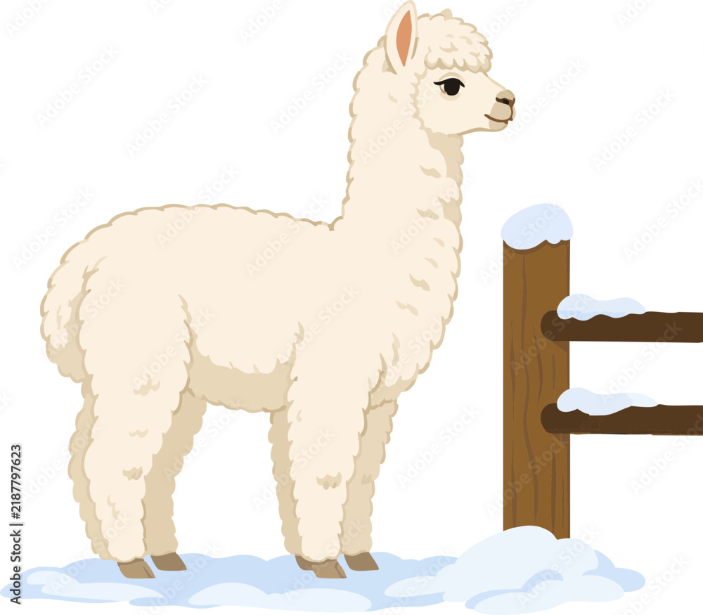 Obraz premium Cream alpaca standing beside snow-covered wooden fence on transparent background, winter scene with fluffy wool and soft pastel tones