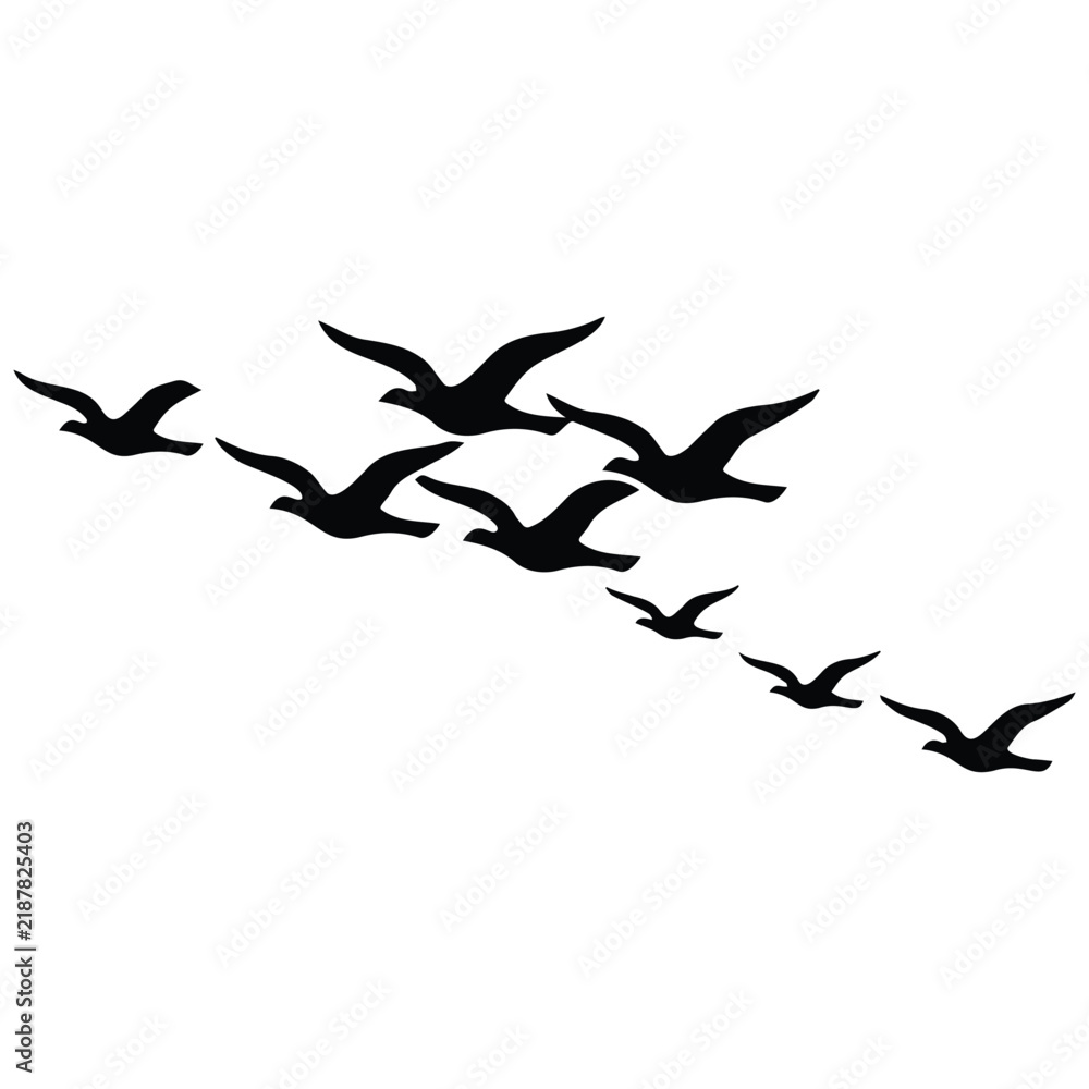 Fototapeta premium Flock of birds flying silhouette illustration, freedom and migration concept, elegant vector art.