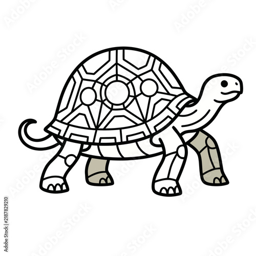Stylized Tortoise Illustration