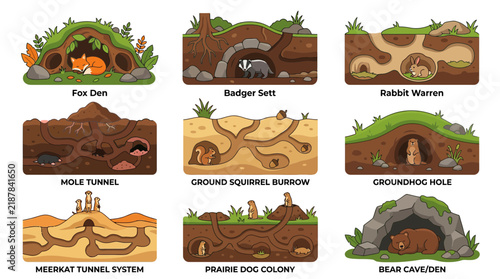 Animal dens and underground burrow cross-section illustrations.