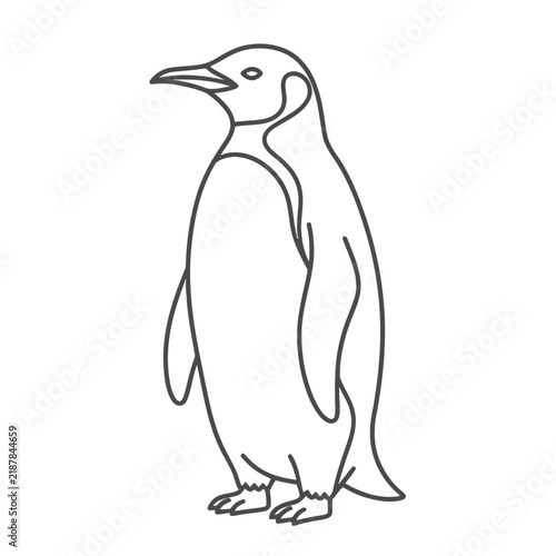 Penguin outline