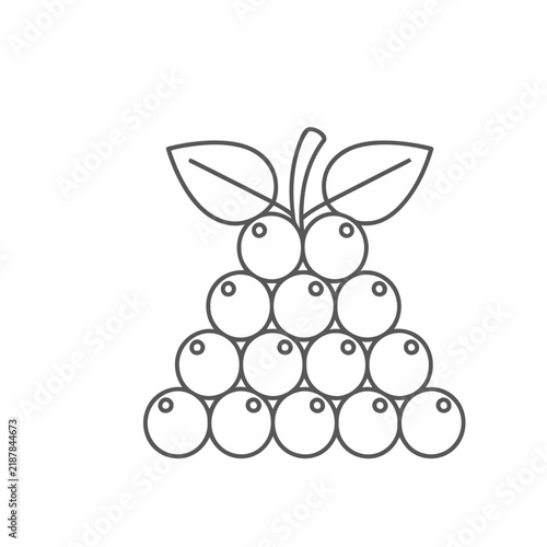 Outline of grapes with leaves