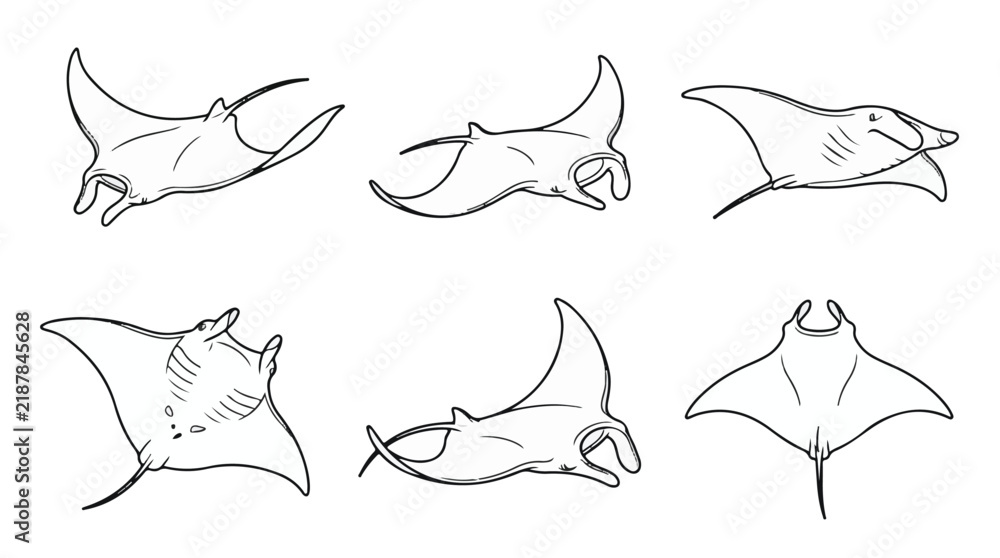 Fototapeta premium Manta Ray Vector Line Art Set, Swimming Stingray Marine Life Illustrations 