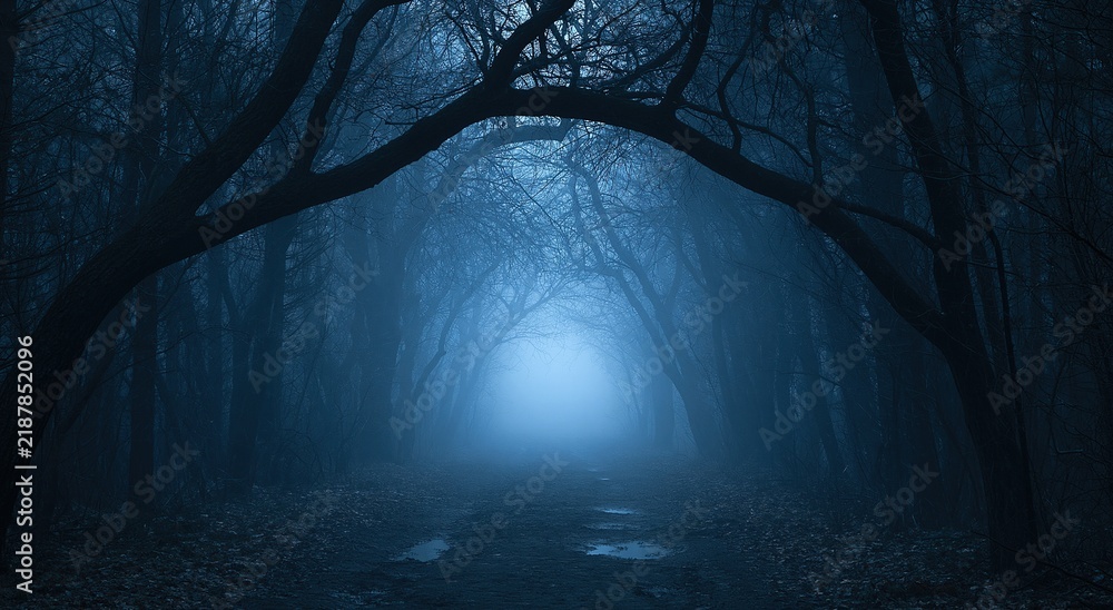 Obraz premium Forest path in dark mysterious fog with glowing light between the misty trees