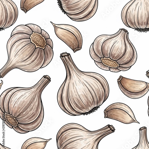Earthy Bulbs, Cloves Unveiled: A Hand-Drawn Botanical Study