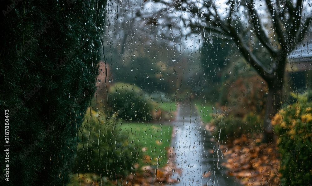 Obraz premium Rainy garden scene viewed through wet window