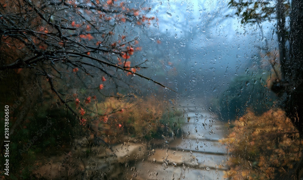Obraz premium View from inside through rain-splattered window