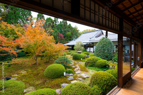 Fototapeta 京都 雲龍院の紅葉