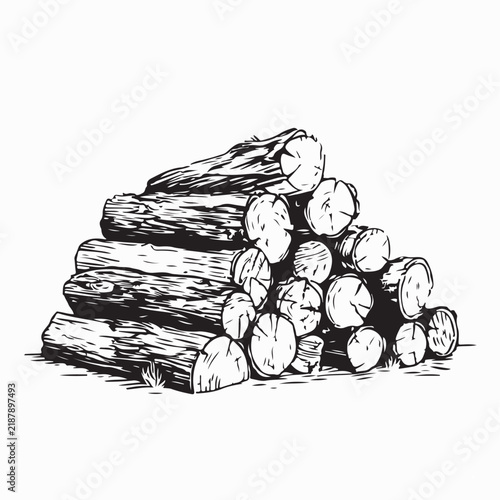 Stack of Firewood in Natural Outdoor Setting Rustic Vector Illustration