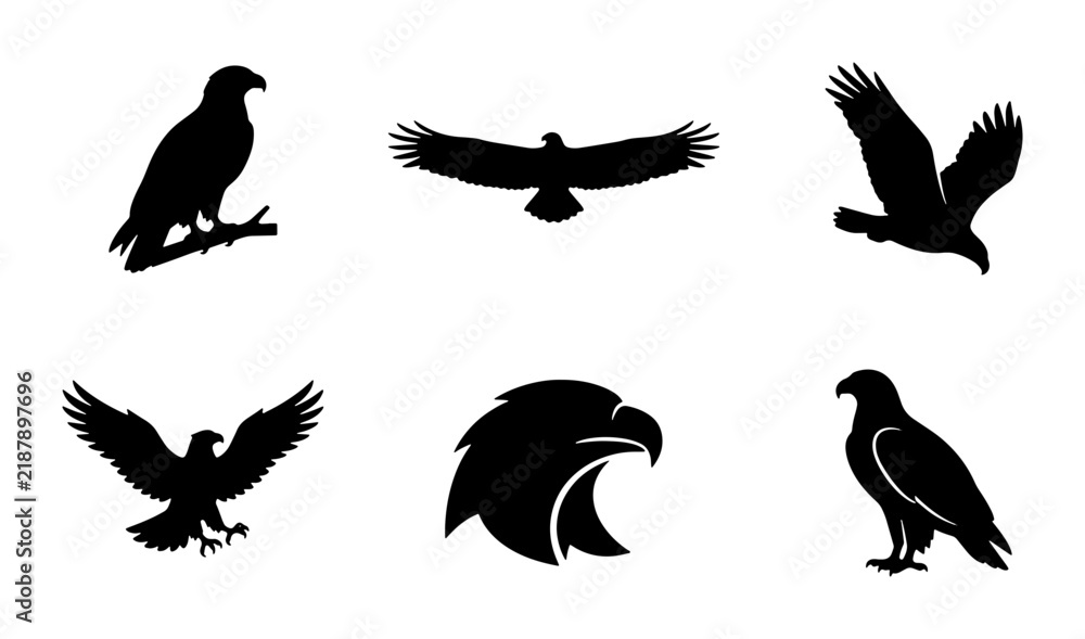 Obraz premium Eagle Silhouettes Vector Set: Majestic Bird Icons for Wildlife and Freedom Themes, Graphic Elements