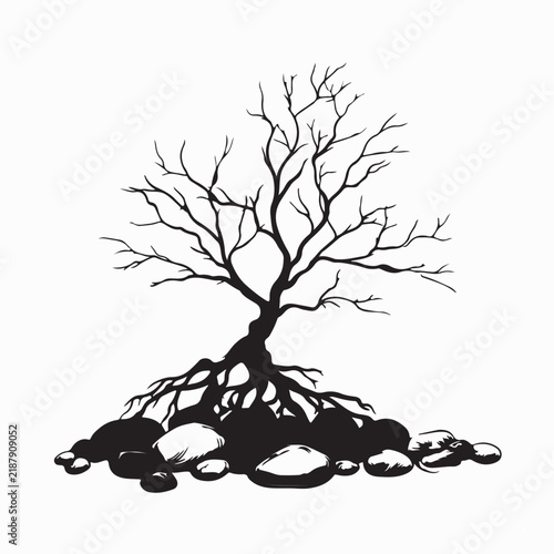 Tree Roots Growing Around Stones in Natural Forest Environment Vector