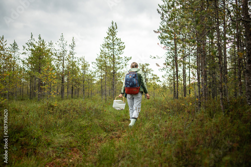 Canvastavla Woman forager walks away through marshy pine forest carrying basket for collected mushrooms