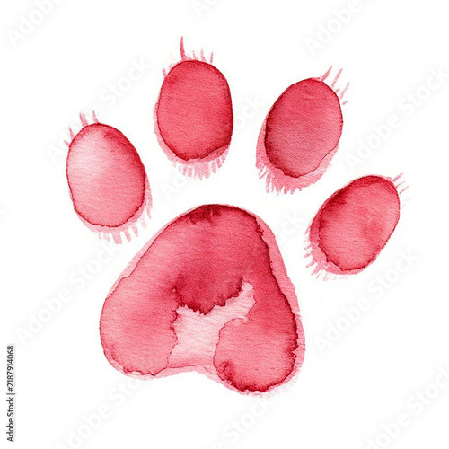 Watercolor cat's paw print Colorful сat, dog, animal footprint Single element for design