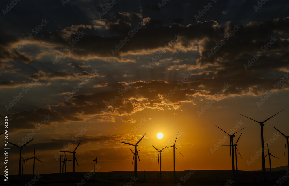 Obraz premium View of a wind farm along a highway in Kazakhstan.