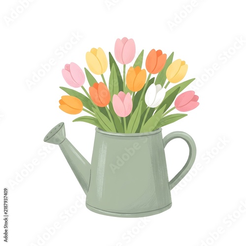 Colorful tulip flowers bouquet in a green watering can