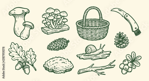 Cute Hand-Drawn Wild Mushroom Foraging and Forest Moss 10 Objects Doodle Set