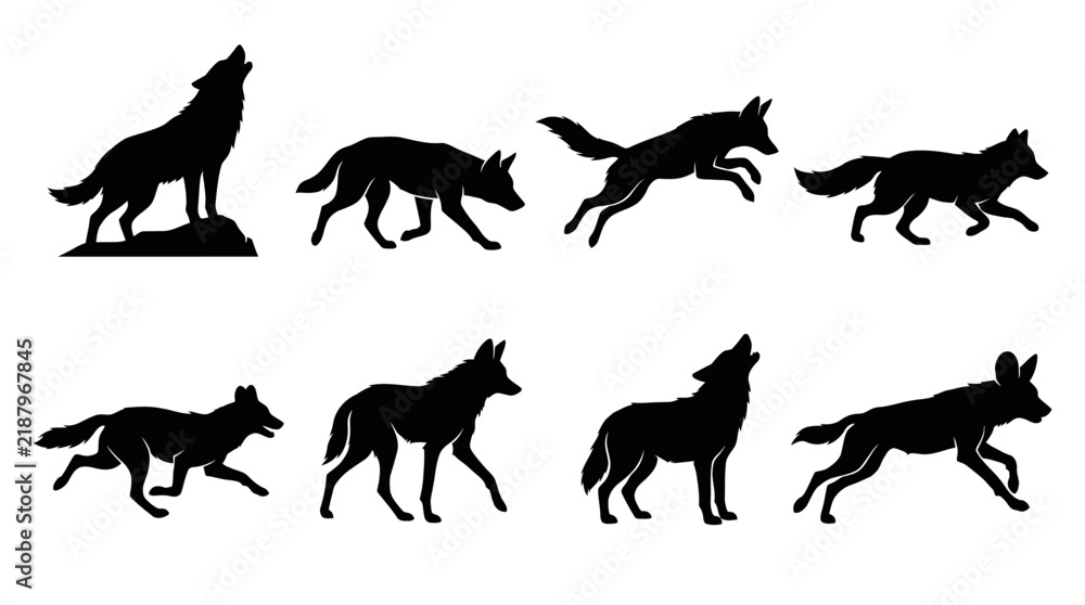 Obraz premium Set of black silhouettes of wolves in various poses and actions on white background.