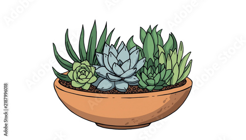 Succulent arrangement in a terracotta pot featuring various green and blue-green fleshy leaves drawn in a clean vector style.