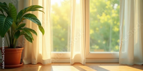 Sunlight streams through sheer curtains onto a leafy plant in a terracotta pot , sun, houseplant, light
