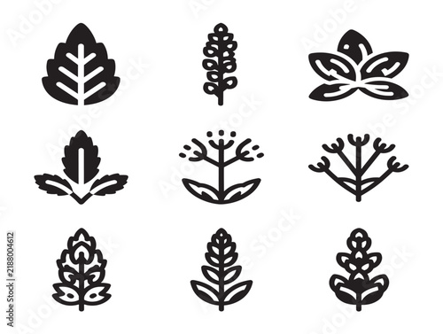Set of nine minimalist black botanical leaf and plant icons for design and branding projects