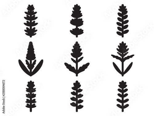 Set of six minimalist black hedge woundwort plant icons for botanical design and nature-themed projects