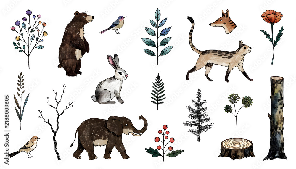 Obraz premium Hand drawn wild animals and forest flora collection. Woodland wildlife biodiversity and nature concept. Bear rabbit cat elephant bird and plants isolated on white background