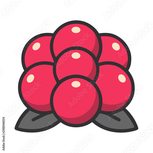Red berries with leaves icon