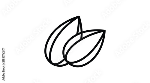 Minimalist almond nut vector illustration featuring clean black line art style