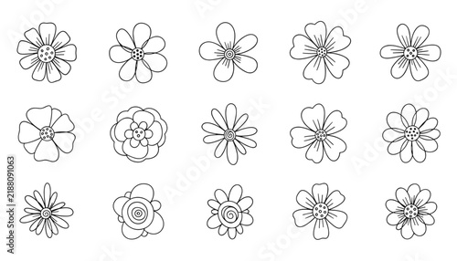 Collection of fifteen diverse hand-drawn flower sketches with intricate petal details, perfect for botanical illustrations and decor.