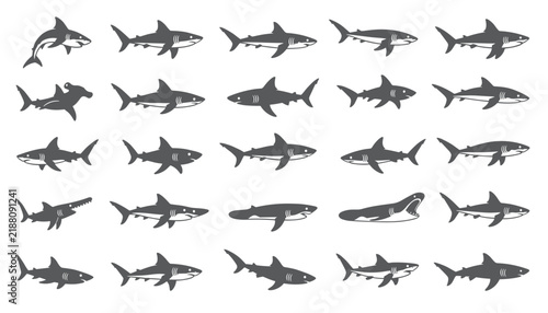 Extensive collection of various shark species silhouettes, displaying anatomical diversity, marine life, and aquatic nature themes.