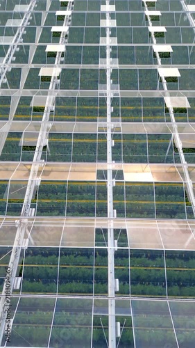 Vertical Aerial Drone Footage Flying Over a Large Modern Commercial Greenhouse Roof