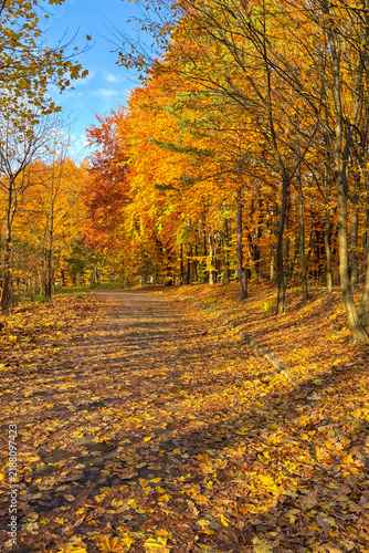 Golden autumn colors light up the countryside among old wooden houses and ancient churches in Ukraine, creating a warm nostalgic atmosphere.