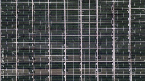 Top-Down Aerial View of a Large Industrial Greenhouse with Green Plants Growing in Rows