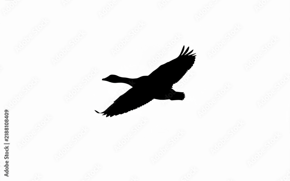 Obraz premium Silhouette of a wild goose flying solo high in the bright sky, creating a minimalist nature concept