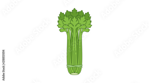 Fresh Green Celery Stalks Isolated Vector Illustration