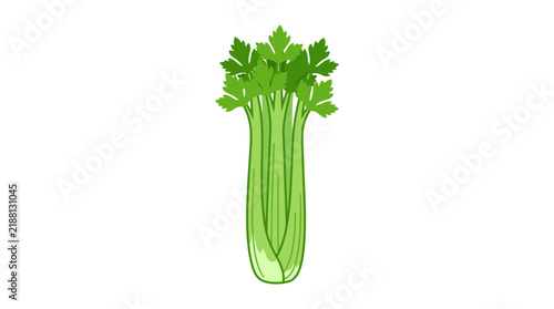 Fresh Green Celery Stalk Vegetable Illustration