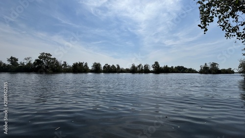 Calm wide lake with rippling dark water, distant tree line, bright blue sky, wispy clouds, and overhanging branches creating peaceful natural waterside landscape