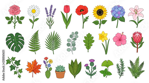 Set of botanical illustrations featuring isolated flowers and leaves
