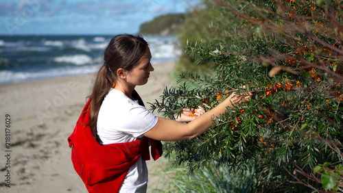 Quadro su tela Female traveler harvesting orange sea buckthorn berries near the ocean shore during an autumn vacation