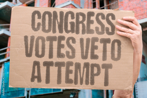 Quadro su tela "Congress votes veto attempt" Legislative session on presidential override effort